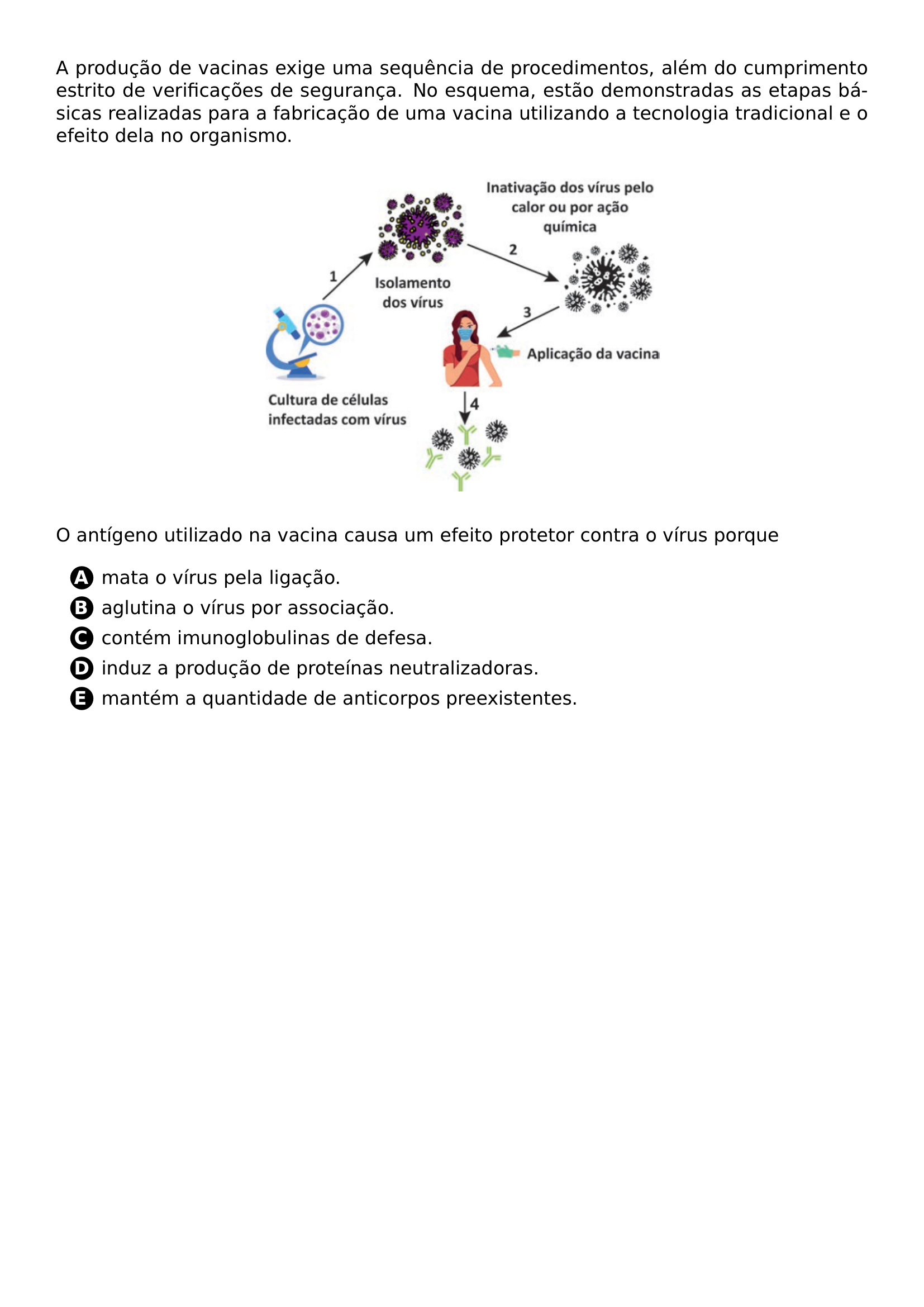 A PRODUCAO DE VACINAS EXIGE UMA SEQUENCIA DE PROCEDIMENTOS ALEM DO CUMPRIMENTO ESTRITO DE VERIFICACOES DE SEGURANCA NO ESQUEMA ESTAO DEMONSTRADAS AS ETAPAS BASICAS REALIZADAS PARA A FABRICACAO DE UMA VACINA UTILIZANDO A TECNOLOGIA TRADICIONAL E O EFEITO DELA NO ORGANISMO BEGIN CENTER INCLUDEGRAPHICS WIDTH 0 5 LINEWIDTH 20260621 003657 01 PNG END CENTER O ANTIGENO UTILIZADO NA VACINA CAUSA UM EFEITO PROTETOR CONTRA O VIRUS PORQUE BEGIN ENUMERATE LABEL PROTECT CIRCLED ALPH ITEMSEP 5PT ITEM MATA O VIRUS PELA LIGACAO ITEM AGLUTINA O VIRUS POR ASSOCIACAO ITEM CONTEM IMUNOGLOBULINAS DE DEFESA ITEM INDUZ A PRODUCAO DE PROTEINAS NEUTRALIZADORAS ITEM MANTEM A QUANTIDADE DE ANTICORPOS PREEXISTENTES END ENUMERATE
