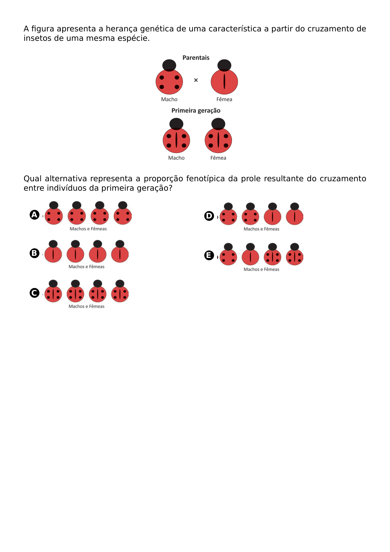 A FIGURA APRESENTA A HERANCA GENETICA DE UMA CARACTERISTICA A PARTIR DO CRUZAMENTO DE INSETOS DE UMA MESMA ESPECIE BEGIN CENTER INCLUDEGRAPHICS WIDTH 0 25 LINEWIDTH 20260622 162910 01 PNG END CENTER QUAL ALTERNATIVA REPRESENTA A PROPORCAO FENOTIPICA DA PROLE RESULTANTE DO CRUZAMENTO ENTRE INDIVIDUOS DA PRIMEIRA GERACAO BEGIN MULTICOLS 2 BEGIN ENUMERATE LABEL PROTECT CIRCLED ALPH ITEMSEP 10PT ITEM BEGIN MINIPAGE C LINEWIDTH INCLUDEGRAPHICS WIDTH 0 6 LINEWIDTH 20260622 162910 02 PNG END MINIPAGE ITEM BEGIN MINIPAGE C LINEWIDTH INCLUDEGRAPHICS WIDTH 0 6 LINEWIDTH 20260622 162910 03 PNG END MINIPAGE ITEM BEGIN MINIPAGE C LINEWIDTH INCLUDEGRAPHICS WIDTH 0 6 LINEWIDTH 20260622 162910 04 PNG END MINIPAGE ITEM BEGIN MINIPAGE C LINEWIDTH INCLUDEGRAPHICS WIDTH 0 6 LINEWIDTH 20260622 162910 05 PNG END MINIPAGE ITEM BEGIN MINIPAGE C LINEWIDTH INCLUDEGRAPHICS WIDTH 0 6 LINEWIDTH 20260622 162910 06 PNG END MINIPAGE END ENUMERATE END MULTICOLS
