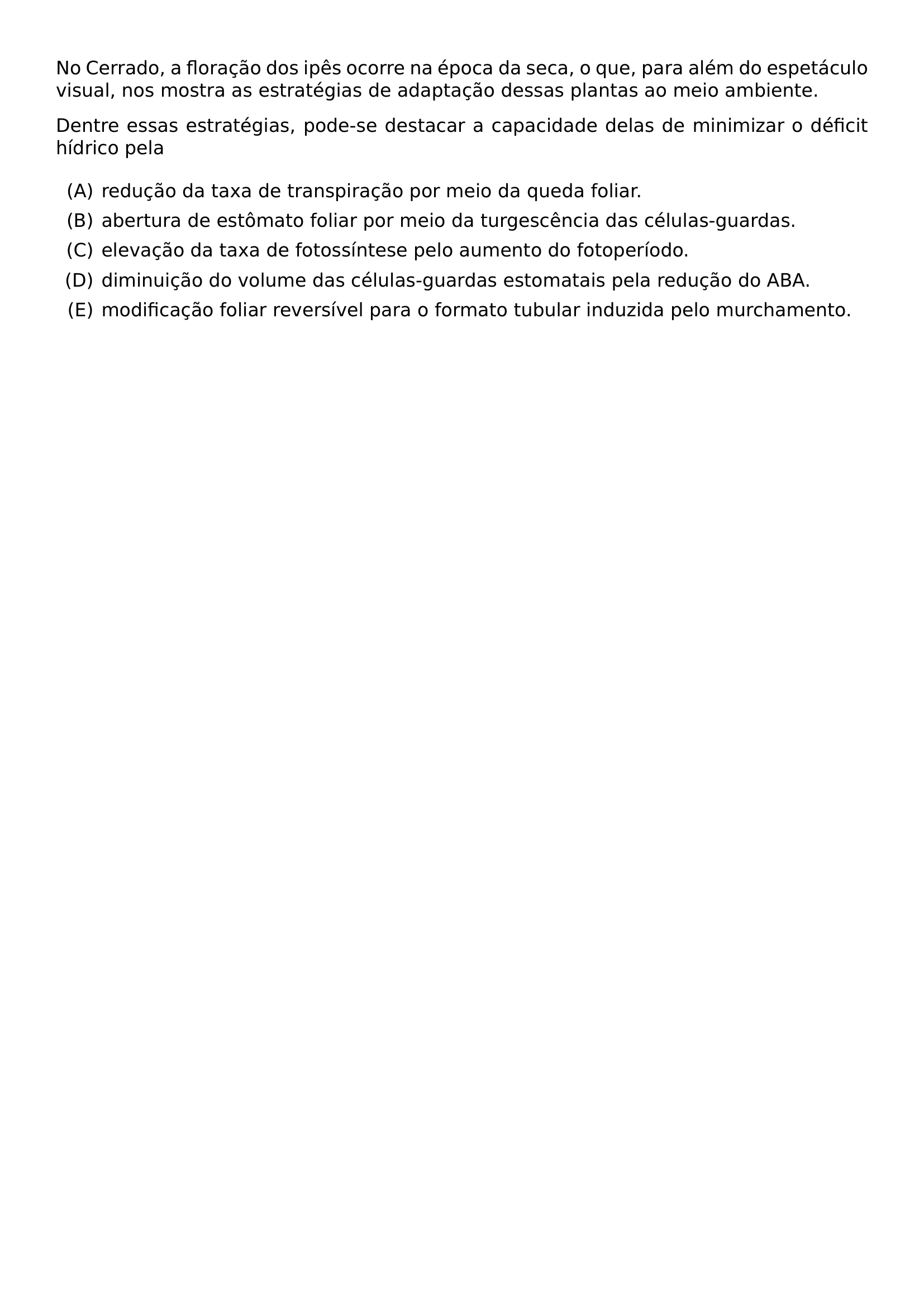 NO CERRADO A FLORACAO DOS IPES OCORRE NA EPOCA DA SECA O QUE PARA ALEM DO ESPETACULO VISUAL NOS MOSTRA AS ESTRATEGIAS DE ADAPTACAO DESSAS PLANTAS AO MEIO AMBIENTE DENTRE ESSAS ESTRATEGIAS PODE SE DESTACAR A CAPACIDADE DELAS DE MINIMIZAR O DEFICIT HIDRICO PELA BEGIN ENUMERATE LABEL ALPH ITEM REDUCAO DA TAXA DE TRANSPIRACAO POR MEIO DA QUEDA FOLIAR ITEM ABERTURA DE ESTOMATO FOLIAR POR MEIO DA TURGESCENCIA DAS CELULAS GUARDAS ITEM ELEVACAO DA TAXA DE FOTOSSINTESE PELO AUMENTO DO FOTOPERIODO ITEM DIMINUICAO DO VOLUME DAS CELULAS GUARDAS ESTOMATAIS PELA REDUCAO DO ABA ITEM MODIFICACAO FOLIAR REVERSIVEL PARA O FORMATO TUBULAR INDUZIDA PELO MURCHAMENTO END ENUMERATE