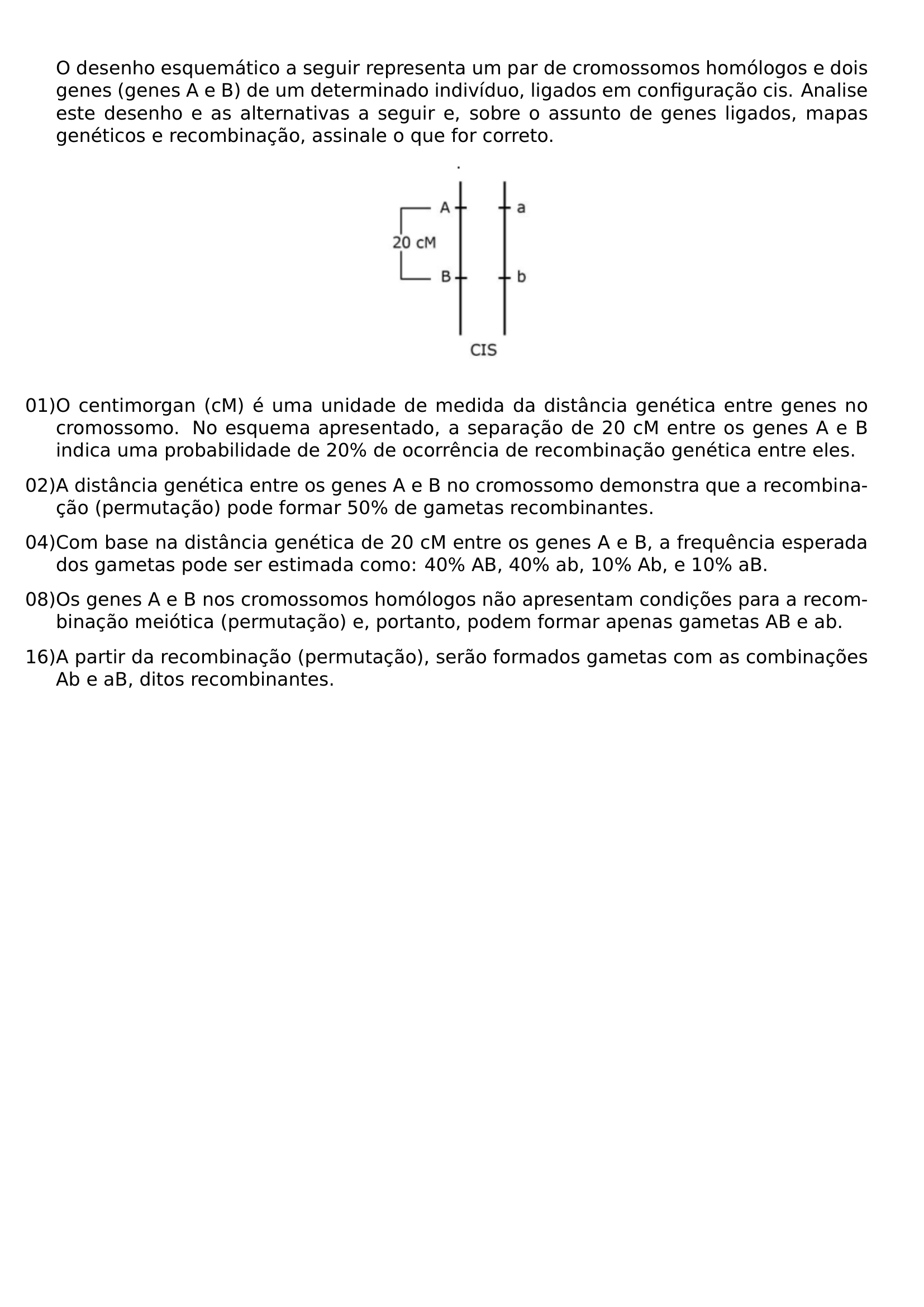 NOINDENT O DESENHO ESQUEMATICO A SEGUIR REPRESENTA UM PAR DE CROMOSSOMOS HOMOLOGOS E DOIS GENES GENES A E B DE UM DETERMINADO INDIVIDUO LIGADOS EM CONFIGURACAO CIS ANALISE ESTE DESENHO E AS ALTERNATIVAS A SEGUIR E SOBRE O ASSUNTO DE GENES LIGADOS MAPAS GENETICOS E RECOMBINACAO ASSINALE O QUE FOR CORRETO BEGIN CENTER INCLUDEGRAPHICS WIDTH 0 20 LINEWIDTH 20260813 200941 01 PNG END CENTER BEGIN ENUMERATE LABEL LEFTMARGIN 0PT ITEMINDENT 0PT LABELSEP 0PT ITEMSEP 8PT ITEM 01 O CENTIMORGAN CM E UMA UNIDADE DE MEDIDA DA DISTANCIA GENETICA ENTRE GENES NO CROMOSSOMO NO ESQUEMA APRESENTADO A SEPARACAO DE 20 CM ENTRE OS GENES A E B INDICA UMA PROBABILIDADE DE 20 DE OCORRENCIA DE RECOMBINACAO GENETICA ENTRE ELES ITEM 02 A DISTANCIA GENETICA ENTRE OS GENES A E B NO CROMOSSOMO DEMONSTRA QUE A RECOMBINACAO PERMUTACAO PODE FORMAR 50 DE GAMETAS RECOMBINANTES ITEM 04 COM BASE NA DISTANCIA GENETICA DE 20 CM ENTRE OS GENES A E B A FREQUENCIA ESPERADA DOS GAMETAS PODE SER ESTIMADA COMO 40 AB 40 AB 10 AB E 10 AB ITEM 08 OS GENES A E B NOS CROMOSSOMOS HOMOLOGOS NAO APRESENTAM CONDICOES PARA A RECOMBINACAO MEIOTICA PERMUTACAO E PORTANTO PODEM FORMAR APENAS GAMETAS AB E AB ITEM 16 A PARTIR DA RECOMBINACAO PERMUTACAO SERAO FORMADOS GAMETAS COM AS COMBINACOES AB E AB DITOS RECOMBINANTES END ENUMERATE