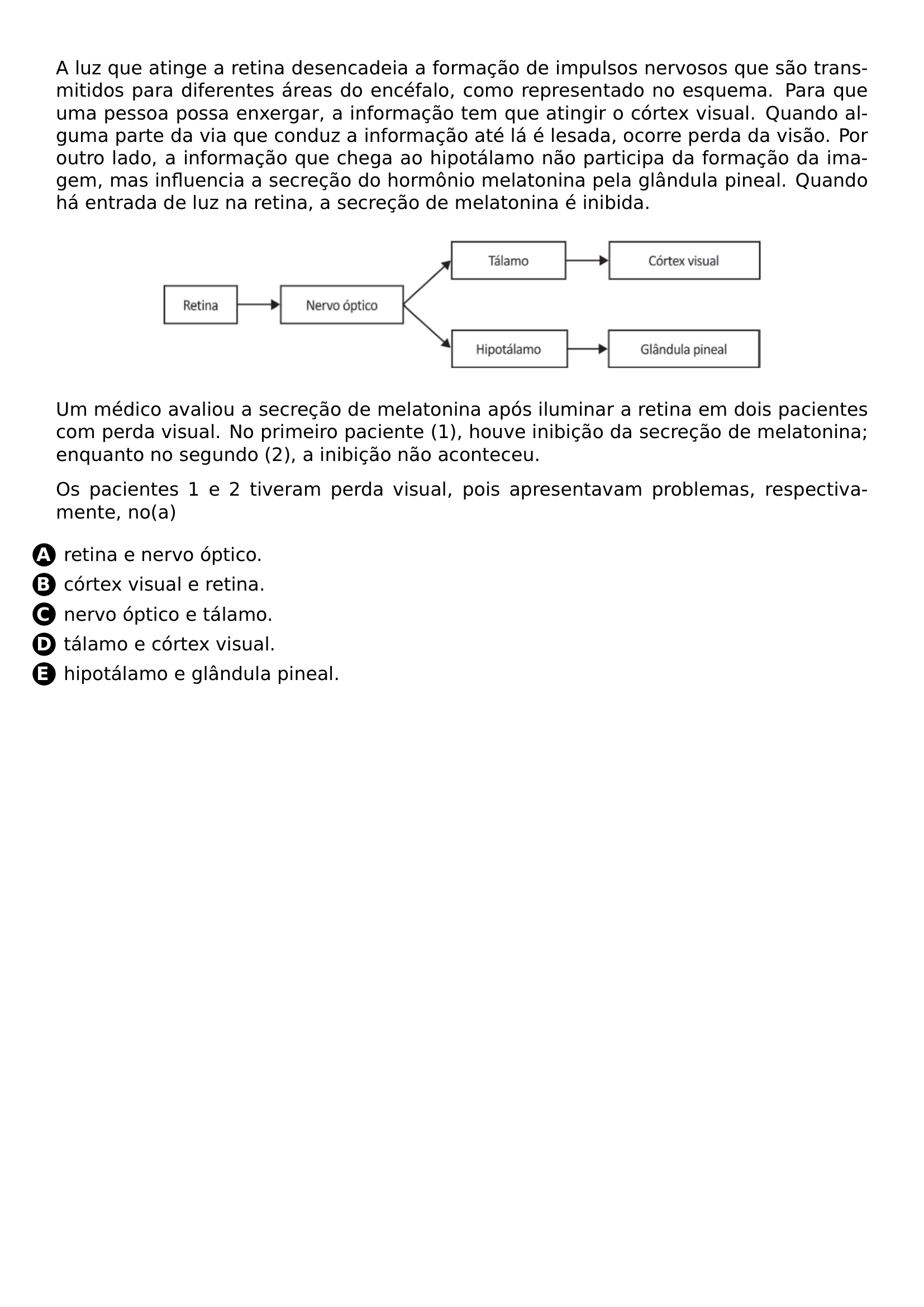 PAR A LUZ QUE ATINGE A RETINA DESENCADEIA A FORMACAO DE IMPULSOS NERVOSOS QUE SAO TRANSMITIDOS PARA DIFERENTES AREAS DO ENCEFALO COMO REPRESENTADO NO ESQUEMA PARA QUE UMA PESSOA POSSA ENXERGAR A INFORMACAO TEM QUE ATINGIR O CORTEX VISUAL QUANDO ALGUMA PARTE DA VIA QUE CONDUZ A INFORMACAO ATE LA E LESADA OCORRE PERDA DA VISAO POR OUTRO LADO A INFORMACAO QUE CHEGA AO HIPOTALAMO NAO PARTICIPA DA FORMACAO DA IMAGEM MAS INFLUENCIA A SECRECAO DO HORMONIO MELATONINA PELA GLANDULA PINEAL QUANDO HA ENTRADA DE LUZ NA RETINA A SECRECAO DE MELATONINA E INIBIDA BEGIN CENTER INCLUDEGRAPHICS WIDTH 0 75 LINEWIDTH 20261018 191554 868 01 PNG END CENTER PAR UM MEDICO AVALIOU A SECRECAO DE MELATONINA APOS ILUMINAR A RETINA EM DOIS PACIENTES COM PERDA VISUAL NO PRIMEIRO PACIENTE 1 HOUVE INIBICAO DA SECRECAO DE MELATONINA ENQUANTO NO SEGUNDO 2 A INIBICAO NAO ACONTECEU PAR OS PACIENTES 1 E 2 TIVERAM PERDA VISUAL POIS APRESENTAVAM PROBLEMAS RESPECTIVAMENTE NO A BEGIN ENUMERATE LABEL PROTECT CIRCLED ALPH LEFTMARGIN ITEM PROTECT CIRCLED A RETINA E NERVO OPTICO ITEM PROTECT CIRCLED B CORTEX VISUAL E RETINA ITEM PROTECT CIRCLED C NERVO OPTICO E TALAMO ITEM PROTECT CIRCLED D TALAMO E CORTEX VISUAL ITEM PROTECT CIRCLED E HIPOTALAMO E GLANDULA PINEAL END ENUMERATE
