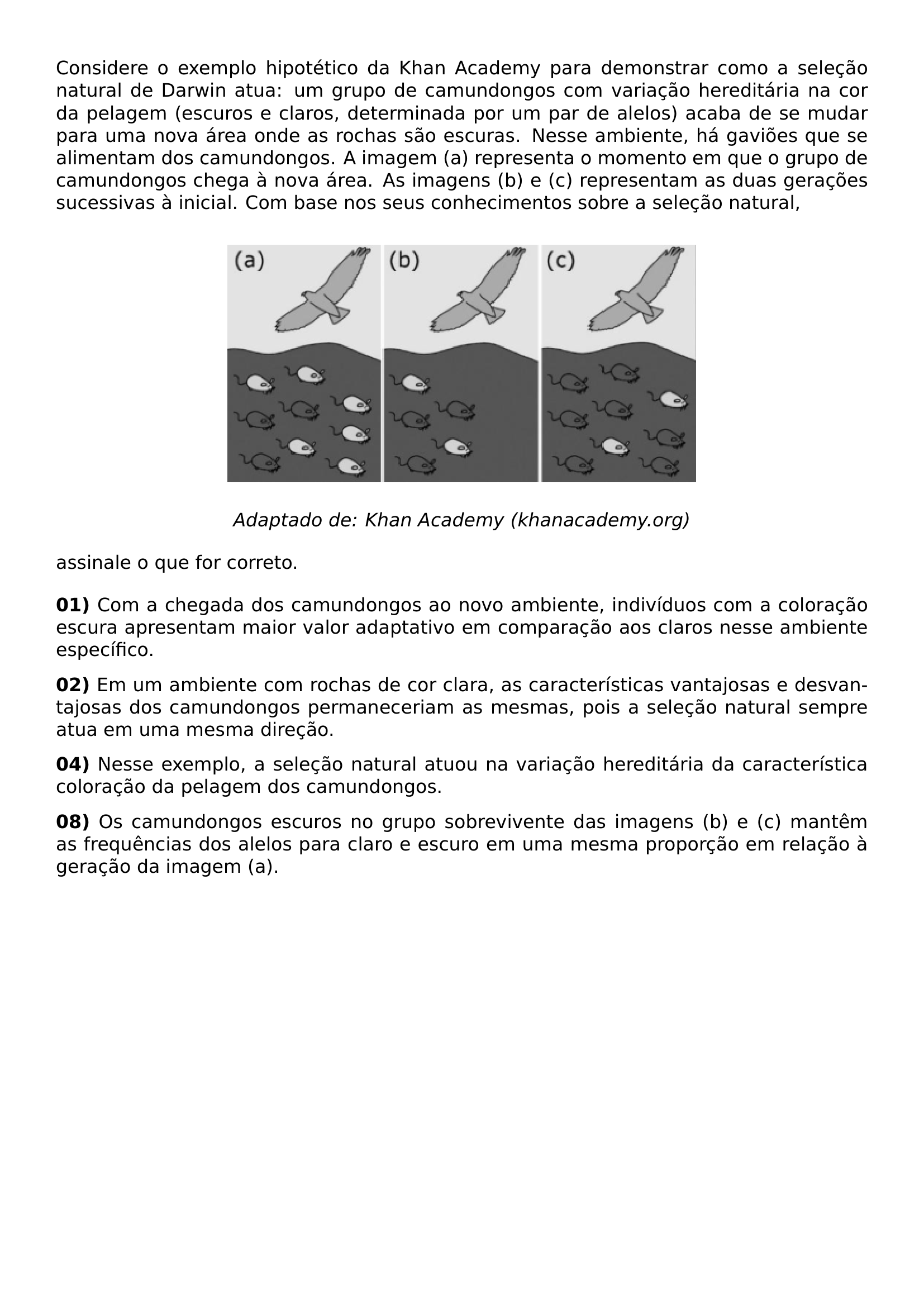 CONSIDERE O EXEMPLO HIPOTETICO DA KHAN ACADEMY PARA DEMONSTRAR COMO A SELECAO NATURAL DE DARWIN ATUA UM GRUPO DE CAMUNDONGOS COM VARIACAO HEREDITARIA NA COR DA PELAGEM ESCUROS E CLAROS DETERMINADA POR UM PAR DE ALELOS ACABA DE SE MUDAR PARA UMA NOVA AREA ONDE AS ROCHAS SAO ESCURAS NESSE AMBIENTE HA GAVIOES QUE SE ALIMENTAM DOS CAMUNDONGOS A IMAGEM A REPRESENTA O MOMENTO EM QUE O GRUPO DE CAMUNDONGOS CHEGA A NOVA AREA AS IMAGENS B E C REPRESENTAM AS DUAS GERACOES SUCESSIVAS A INICIAL COM BASE NOS SEUS CONHECIMENTOS SOBRE A SELECAO NATURAL BEGIN CENTER INCLUDEGRAPHICS WIDTH 0 6 LINEWIDTH 20260807 235934 01 PNG TEXTIT ADAPTADO DE KHAN ACADEMY KHANACADEMY ORG END CENTER ASSINALE O QUE FOR CORRETO BEGIN ENUMERATE LABEL LEFTMARGIN 0PT ITEMSEP 8PT ITEM TEXTBF 01 COM A CHEGADA DOS CAMUNDONGOS AO NOVO AMBIENTE INDIVIDUOS COM A COLORACAO ESCURA APRESENTAM MAIOR VALOR ADAPTATIVO EM COMPARACAO AOS CLAROS NESSE AMBIENTE ESPECIFICO ITEM TEXTBF 02 EM UM AMBIENTE COM ROCHAS DE COR CLARA AS CARACTERISTICAS VANTAJOSAS E DESVANTAJOSAS DOS CAMUNDONGOS PERMANECERIAM AS MESMAS POIS A SELECAO NATURAL SEMPRE ATUA EM UMA MESMA DIRECAO ITEM TEXTBF 04 NESSE EXEMPLO A SELECAO NATURAL ATUOU NA VARIACAO HEREDITARIA DA CARACTERISTICA COLORACAO DA PELAGEM DOS CAMUNDONGOS ITEM TEXTBF 08 OS CAMUNDONGOS ESCUROS NO GRUPO SOBREVIVENTE DAS IMAGENS B E C MANTEM AS FREQUENCIAS DOS ALELOS PARA CLARO E ESCURO EM UMA MESMA PROPORCAO EM RELACAO A GERACAO DA IMAGEM A END ENUMERATE