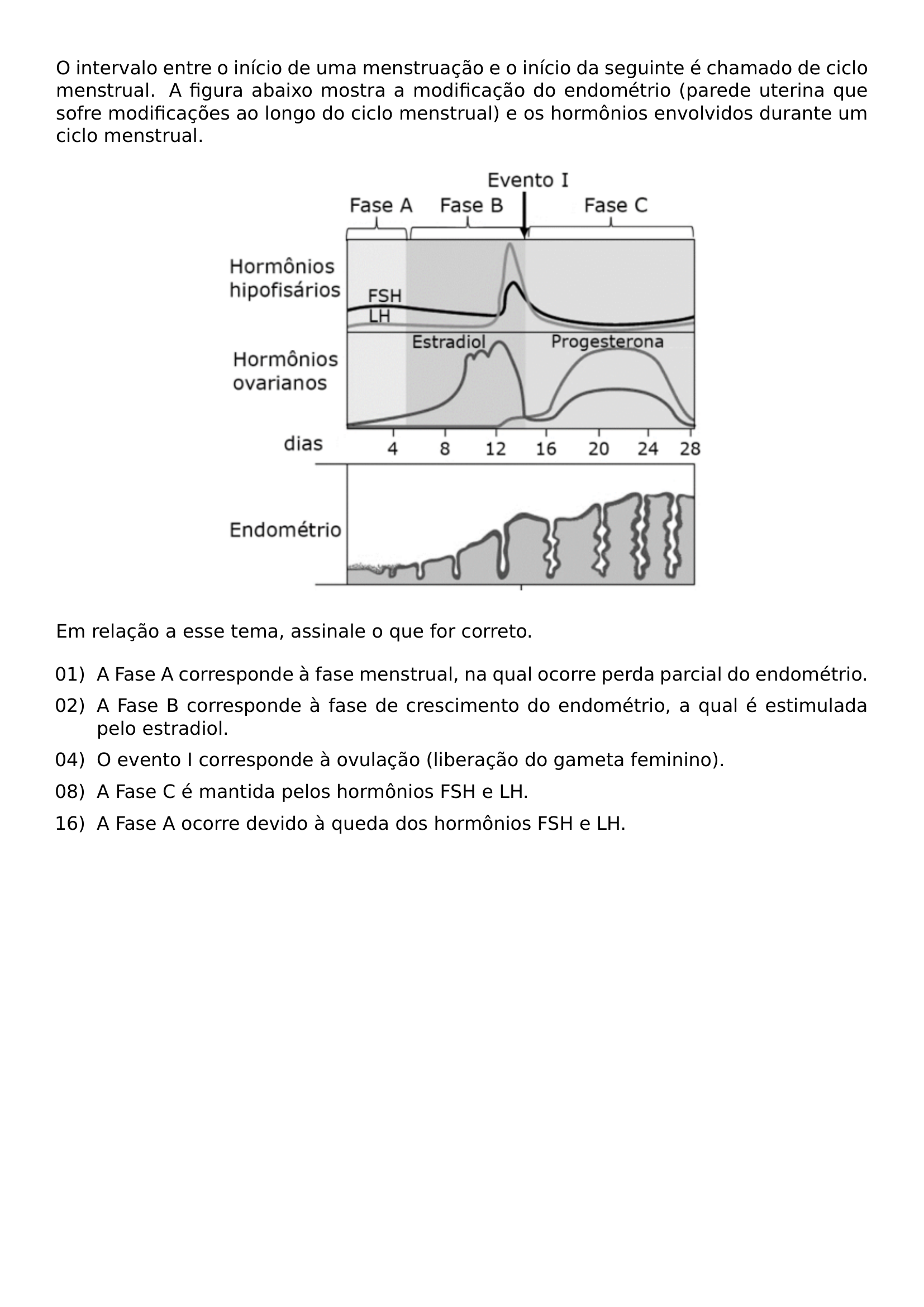 O INTERVALO ENTRE O INICIO DE UMA MENSTRUACAO E O INICIO DA SEGUINTE E CHAMADO DE CICLO MENSTRUAL A FIGURA ABAIXO MOSTRA A MODIFICACAO DO ENDOMETRIO PAREDE UTERINA QUE SOFRE MODIFICACOES AO LONGO DO CICLO MENSTRUAL E OS HORMONIOS ENVOLVIDOS DURANTE UM CICLO MENSTRUAL BEGIN CENTER INCLUDEGRAPHICS WIDTH 0 6 LINEWIDTH 20260813 194421 01 PNG END CENTER EM RELACAO A ESSE TEMA ASSINALE O QUE FOR CORRETO BEGIN ENUMERATE LEFTMARGIN 2 2EM LABELSEP 0 6EM ITEMSEP 0 5EM ITEM 01 A FASE A CORRESPONDE A FASE MENSTRUAL NA QUAL OCORRE PERDA PARCIAL DO ENDOMETRIO ITEM 02 A FASE B CORRESPONDE A FASE DE CRESCIMENTO DO ENDOMETRIO A QUAL E ESTIMULADA PELO ESTRADIOL ITEM 04 O EVENTO I CORRESPONDE A OVULACAO LIBERACAO DO GAMETA FEMININO ITEM 08 A FASE C E MANTIDA PELOS HORMONIOS FSH E LH ITEM 16 A FASE A OCORRE DEVIDO A QUEDA DOS HORMONIOS FSH E LH END ENUMERATE