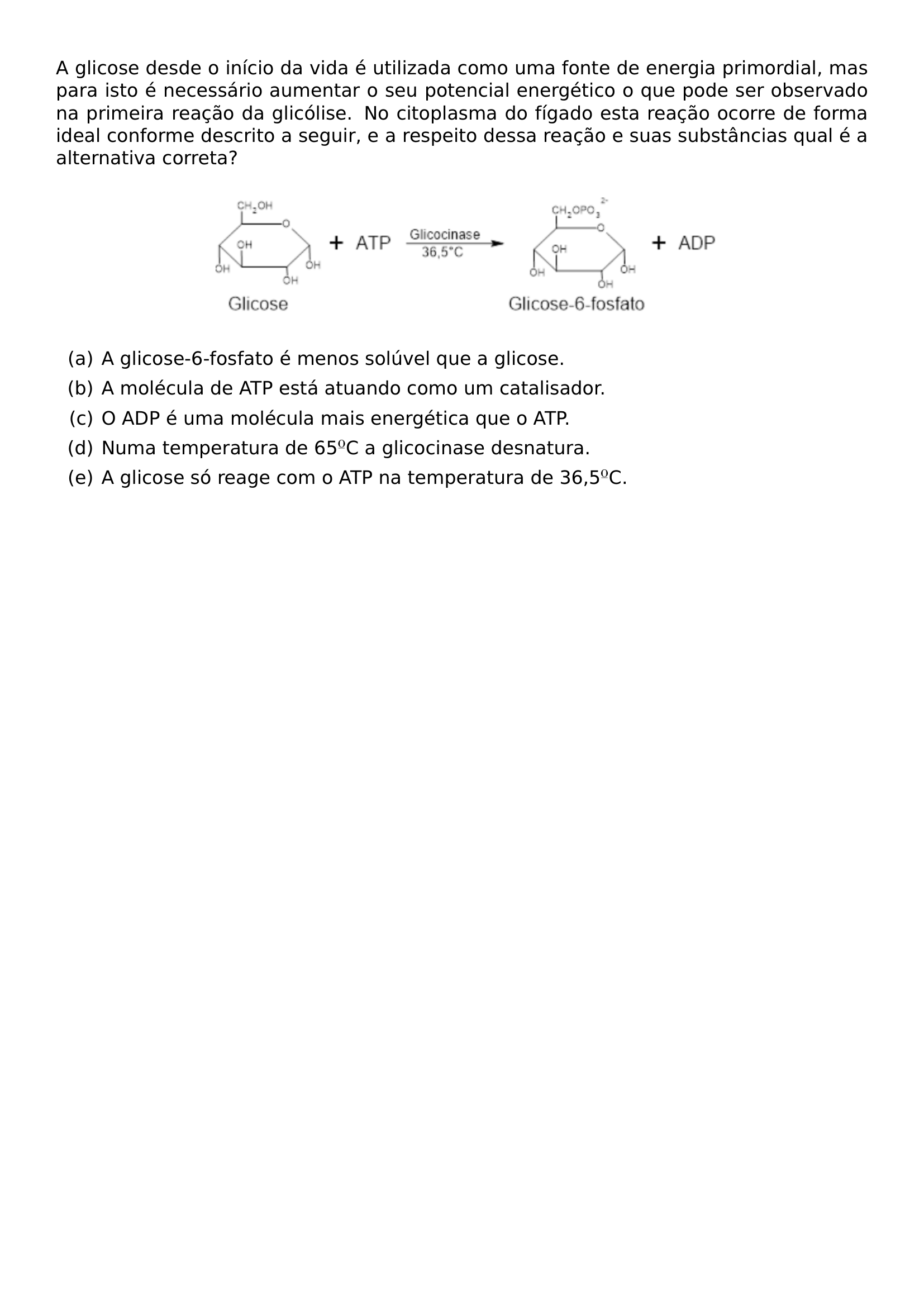 A GLICOSE DESDE O INICIO DA VIDA E UTILIZADA COMO UMA FONTE DE ENERGIA PRIMORDIAL MAS PARA ISTO E NECESSARIO AUMENTAR O SEU POTENCIAL ENERGETICO O QUE PODE SER OBSERVADO NA PRIMEIRA REACAO DA GLICOLISE NO CITOPLASMA DO FIGADO ESTA REACAO OCORRE DE FORMA IDEAL CONFORME DESCRITO A SEGUIR E A RESPEITO DESSA REACAO E SUAS SUBSTANCIAS QUAL E A ALTERNATIVA CORRETA BEGIN CENTER INCLUDEGRAPHICS WIDTH 0 65 LINEWIDTH 20260814 113600 01 PNG END CENTER BEGIN ENUMERATE LABEL ALPH ITEM A GLICOSE 6 FOSFATO E MENOS SOLUVEL QUE A GLICOSE ITEM A MOLECULA DE ATP ESTA ATUANDO COMO UM CATALISADOR ITEM O ADP E UMA MOLECULA MAIS ENERGETICA QUE O ATP ITEM NUMA TEMPERATURA DE 65 TEXTORDMASCULINE C A GLICOCINASE DESNATURA ITEM A GLICOSE SO REAGE COM O ATP NA TEMPERATURA DE 36 5 TEXTORDMASCULINE C END ENUMERATE